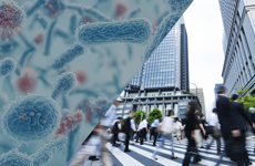 ���������Ǌ֘A�����x�����